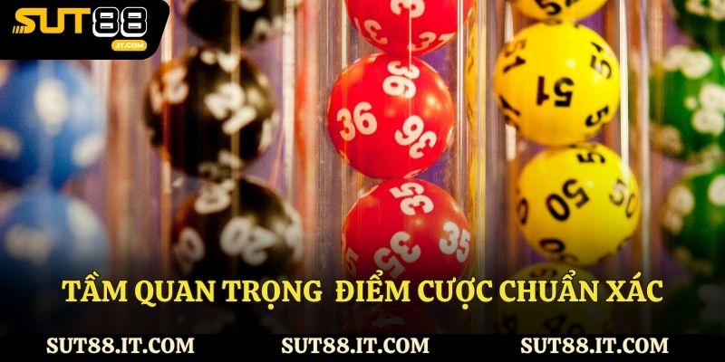 Tầm quan trọng của điểm cược chuẩn xác