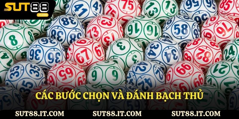Các bước chọn và đánh bạch thủ