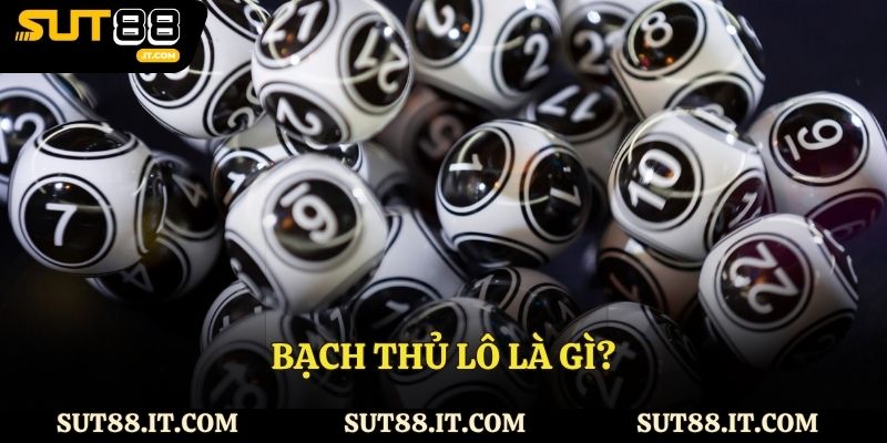 Bạch thủ lô là gì? Cách chơi chuẩn xác tại nhà cái Sut88