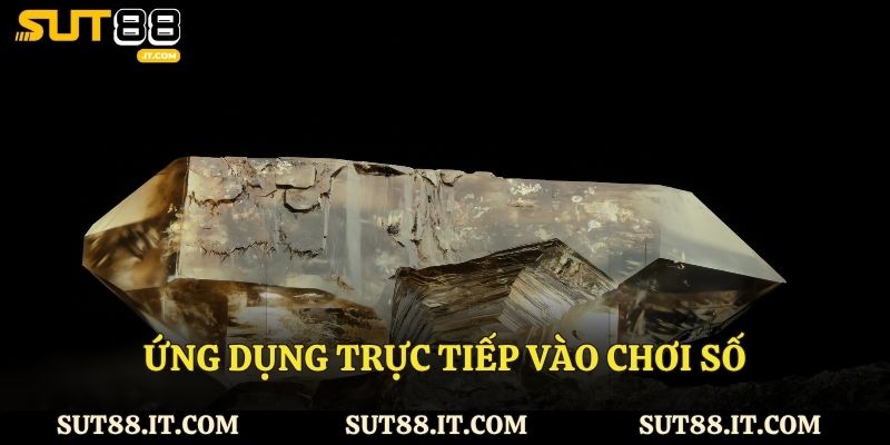 Ứng dụng trực tiếp vào chơi số